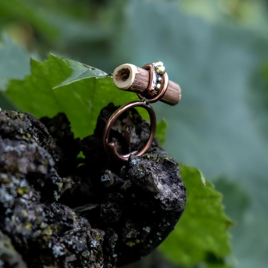 Regala la natura